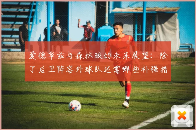 爱德华兹与森林狼的未来展望:除了后卫阵容外球队还需哪些补强措施