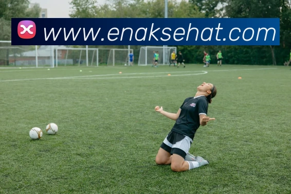 mksports官方网站平台生态图